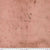 Fabric - Rose - Provisions - Tim Holtz - Half Yard
