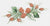 Rolled Roses CREAM Brazilian Embroidery Kit