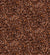 Fabric - Timeless Treasure Coffee Brown - Packed Coffee Beans - Half Yard